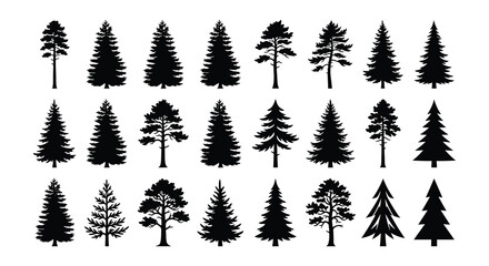 Collection of coniferous tree silhouettes against a white background trees © asma