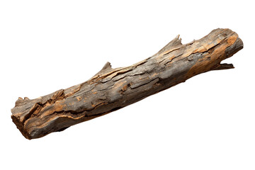 Fototapeta premium Weathered Broken Tree Branch