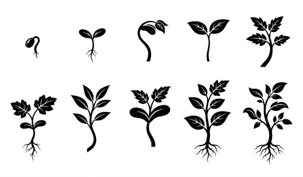 Organic Seedling Growth Silhouette Collection Botanical Plant Vector Set
