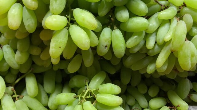 Fruit Brunch of Green Grapes on Shelf in Fresh Fruit market Bangladesh Travel Background