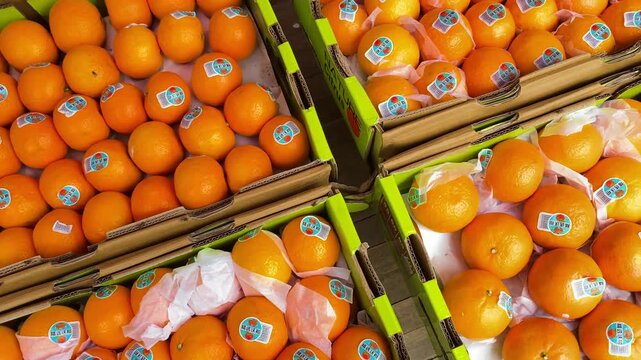 Sweet oranges fill stacked market boxes, many with stickers and paper wrap.