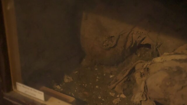 Close view of preserved human remains inside a historic underground crypt