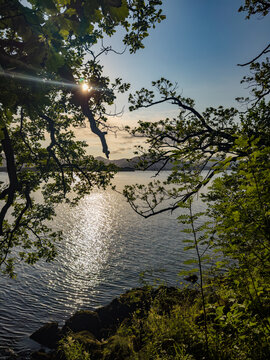 Sunset at the shore of Loch Lomond near Balmaha, Scotland.
