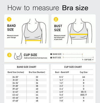Sport bras measuring icon set with size chart for design, branding, presentation of product. The outline vector icons are well scalable for packaging label design. Great for infographic. EPS10.