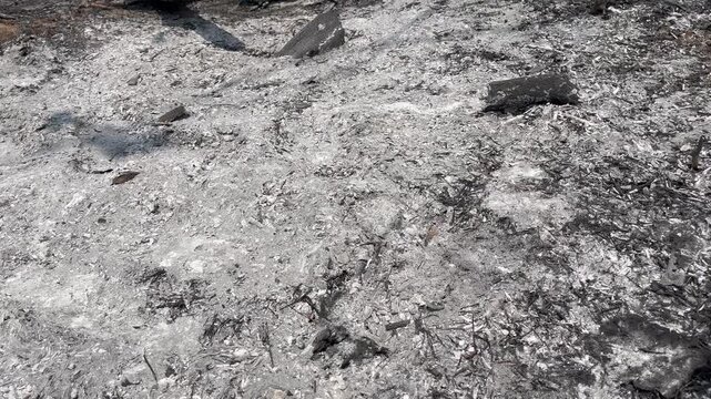Ash and charcoal texture on burnt ground after forest fire