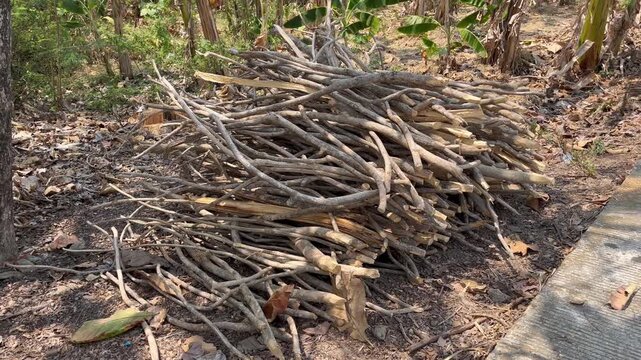 Pile of dry firewood branches on the ground in rural village garden