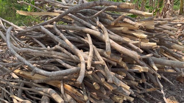 Pile of dry firewood branches on the ground in rural village garden