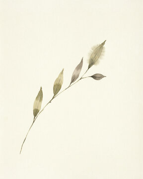 Minimalist botanical watercolor illustration of a single delicate wild grass stem with soft muted earth tone leaves and a wispy seed head on textured paper