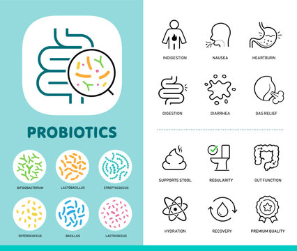 Gut health and digestions supplements icon set for design, branding, presentation. The outline vector icons are well scalable and editable for packaging label design. Ready for your design. EPS10.