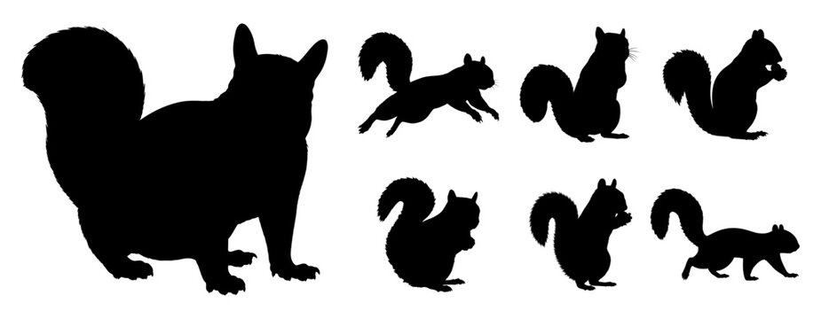 Squirrel silhouettes set standing eating and running vector illustration