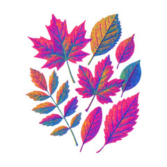 Obraz premium PNG Vibrant autumn leaves illustration