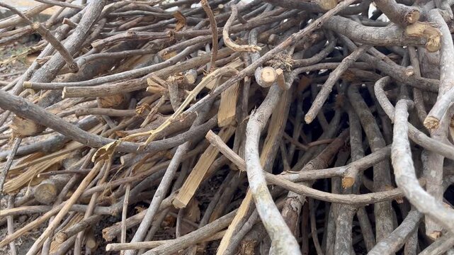 Heap of Dry Wood Branches on the Ground