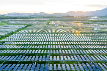 Rows of solar panels in a photovoltaic power station at sunset © zhangyang135769