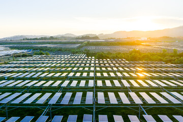 rows of solar panels in a vast green field at sunset © zhangyang135769