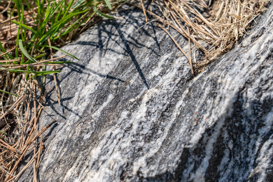  Biotite Gneiss (PRgn), metamorphic rock. Imjingak, Paju is a city in Gyeonggi Province, South Korea geology. Korean Demilitarized Zone.