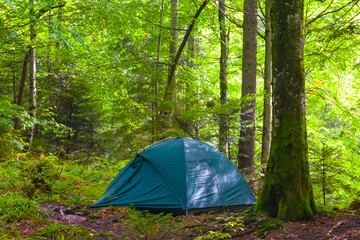 touristic tent stay on the forest glade, summer outdoor camping scene © Yuriy Kulik