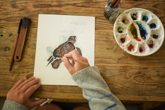 Overhead view of a person painting a sea turtle with watercolors