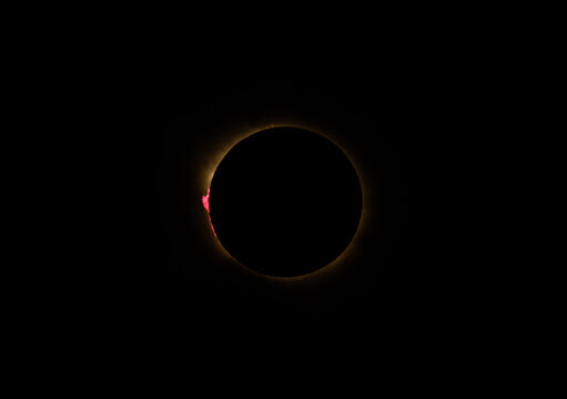 Total solar eclipse showing the corona and solar prominences