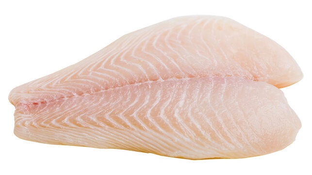 Raw white fish fillet with delicate pink flesh and visible muscle fibers, isolated on transparent background