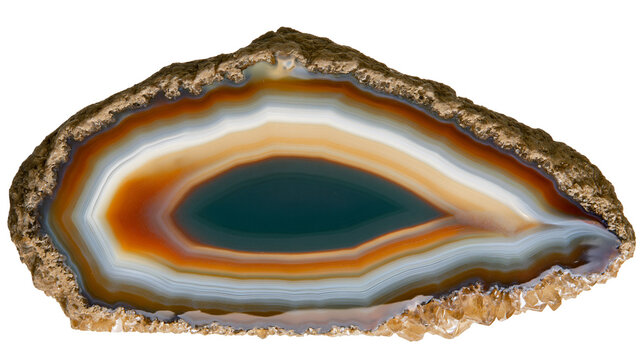 Polished agate slice with concentric bands of brown white and blue, isolated on transparent background
