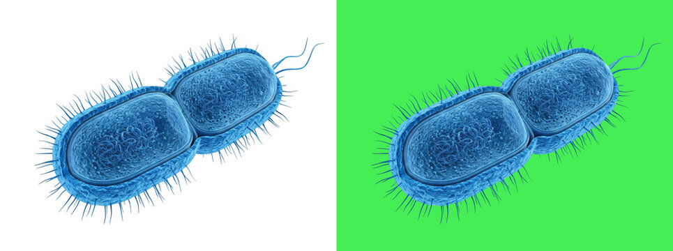 Blue rod shaped bacteria cell 3d render