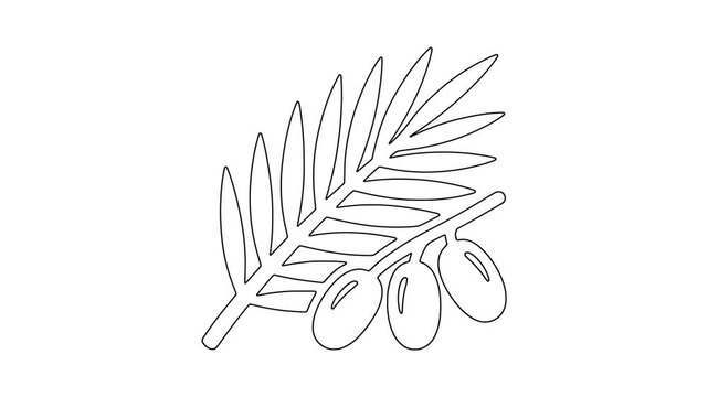 Olive branch with fruit, organic nature symbol, healthy food, animated icon