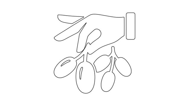 Hand holding olive branch, natural food illustration, clean graphic, animated icon