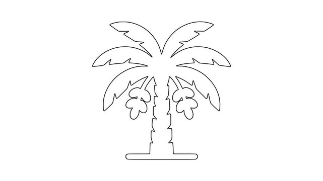Tropical palm tree with fruit, fresh botanical concept, natural produce, animated icon