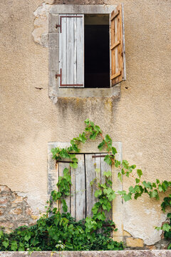 Vieille fa&ccedil;ade de maison rose avec un vieux volet en bois. Vigne vierge grimpant sur une maison abandonn&eacute;e.