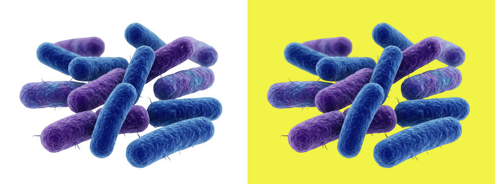 Group of blue rod shaped bacteria 3D render