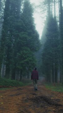 Lonely Explorer Walks Along Misty Mountain Path in Autumn