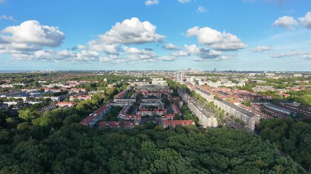 city forest park aerial view of canopy and distant suburban buildings