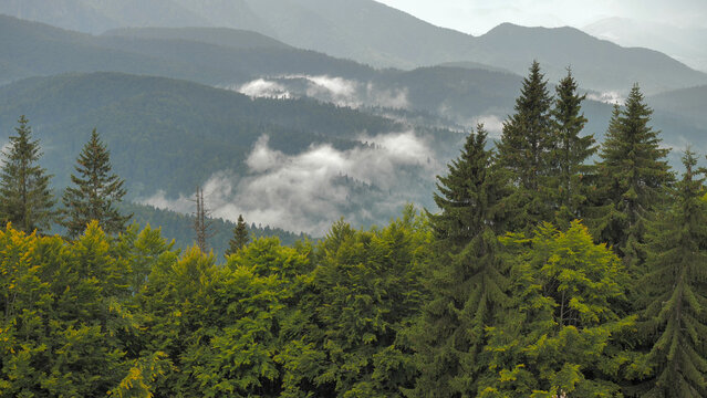Splendid landmark, white clouds, high peaks and green forest