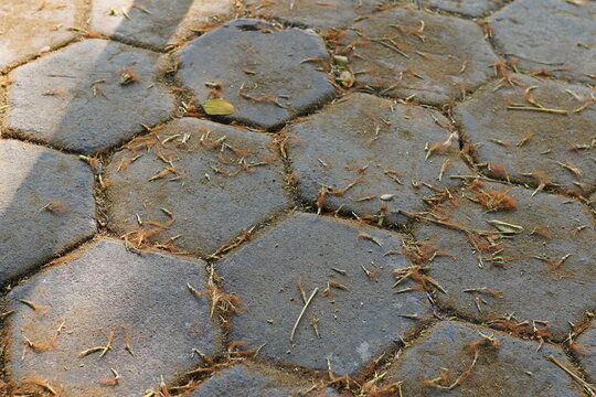 Hexagonal concrete paving block ground surface covered with fallen dry tree debris and a small green leaf, outdoor walkway texture, park pavement, urban sidewalk construction, and autumn background.
