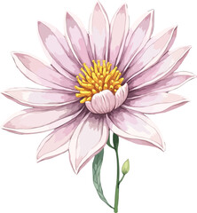 Obraz premium Watercolor Pink Lotus Flower Illustration with Soft Petals.