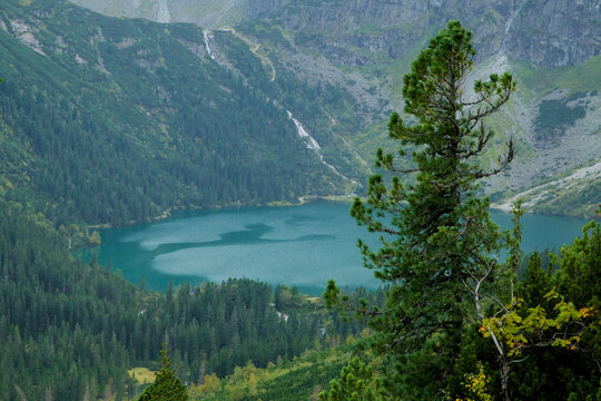 Emerald Morskie Oko from above. Spectacular aerial view of the emerald green Morskie Oko lake in the Tatra Mountains framed by a pine tree. Tatra National Park, Zakopane, Poland. Commercial.
