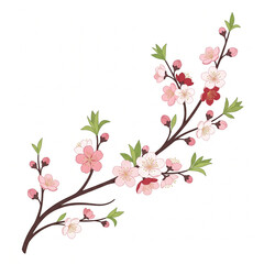 Fototapeta premium Delicate pink cherry blossom branch illustration