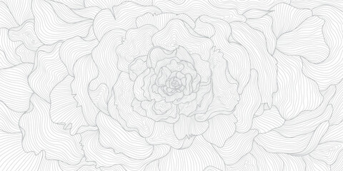 Obraz premium Luxury floral grey on white pattern with elegant line peonies, petals, modern botanical elements, Chinese and Japanese luxury art. Wallpaper, wedding ornament, tea packaging, spa branding, cards