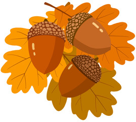 acorns and oak leaves © Mihwa