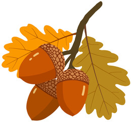 oak leaves and acorns © Mihwa