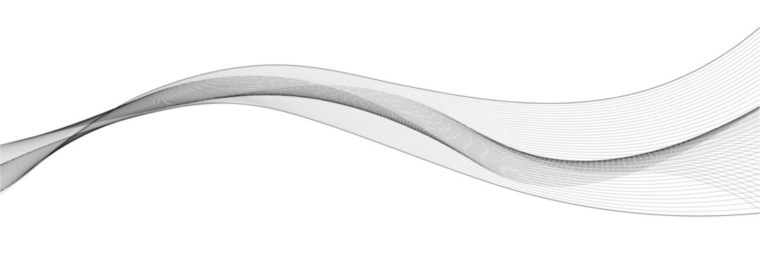 Abstract elegant gray flowing linear wave ribbon vector isolated on transparent background.