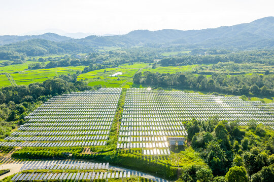 rows of solar panels in green fields with mountains