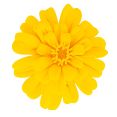 Fototapeta premium Yellow flowers 