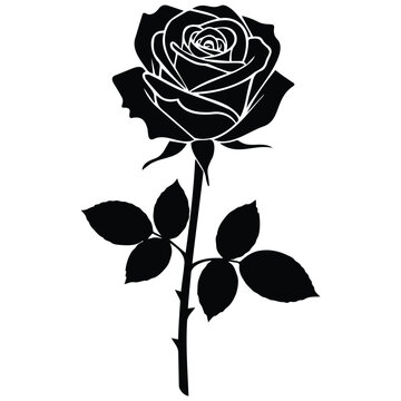 Black and white single rose vector silhouette illustration for floral designs and tattoos.