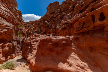 Red sandstone canyon under clear blue sky © Ruslan Bolgov