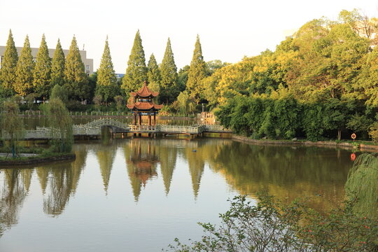 In an autumn morning, sun casts golden light over XI Hu, which is located in the campus of Xiang Tan university , Hunan, China