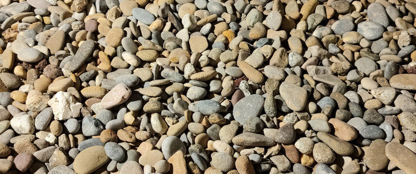 Smooth natural river pebbles and small stones background texture for garden landscaping
