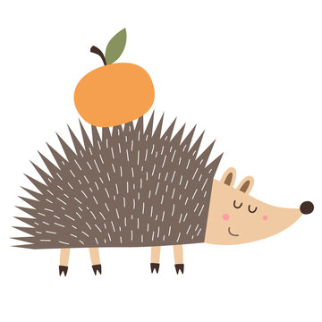 Hedgehog carrying orange apple on its spiny back. Flat illustration. Autumn nature and woodland animal concept.