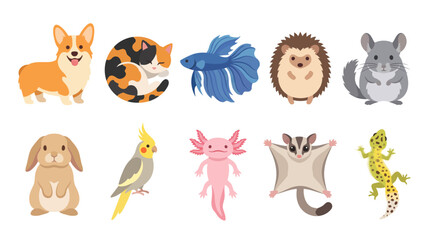 Obraz premium A charming collection of cute animal illustrations featuring diverse pets like dogs, cats, and exotic creatures, perfect for animal lovers and emporiums.