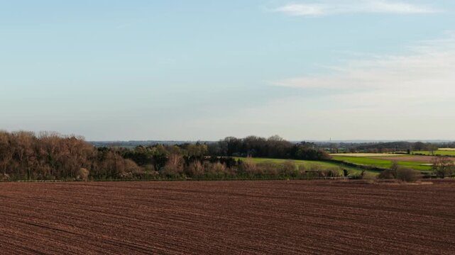 Cultivated field with dark soil texture spreading toward horizon across agricultural terrain. Farming activity shaping land with parallel tillage lines near tree belt. Agronomy environment preparing
